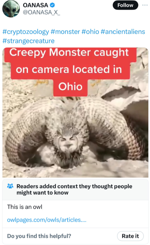 nile crocodile - Oanasa X Creepy Monster caught on camera located in Ohio Readers added context they thought people might want to know This is an owl owlpages.comowlsarticles... Do you find this helpful? Rate it